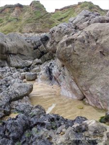 Carboniferous limestone rock formation at Langland Bay