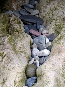 Pebbles from Carboniferous Period rocks at Langland Bay