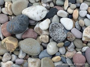 Pebbles from Carboniferous Period rocks at Langland Bay