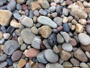 Pebbles from Carboniferous Period rocks at Langland Bay