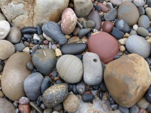Pebbles from Carboniferous Period rocks at Langland Bay