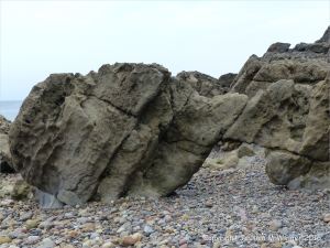 Carboniferous limestone rock formation at Langland Bay