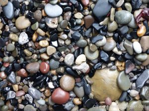 Pebbles from Carboniferous Period rocks at Langland Bay