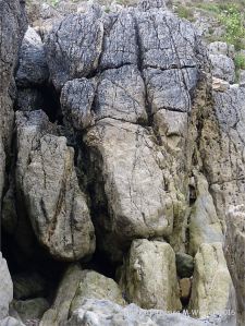 Carboniferous limestone rock formation at Langland Bay