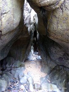 Carboniferous limestone rock formation at Langland Bay
