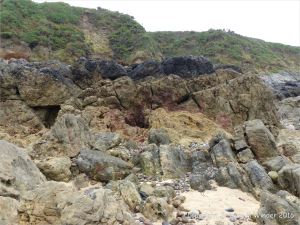 Carboniferous limestone rock formation at Langland Bay