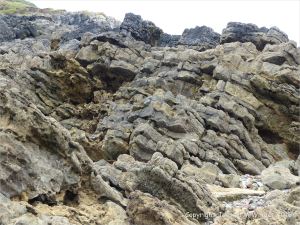 Carboniferous limestone rock formation at Langland Bay