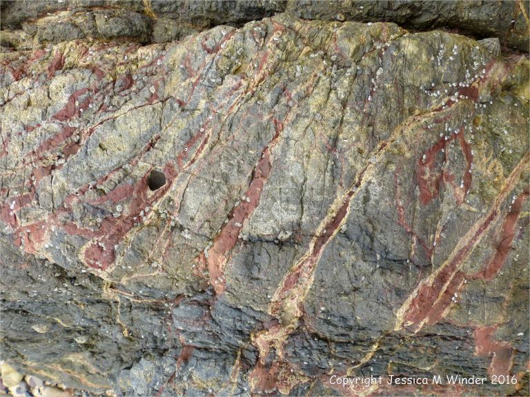 Veins of white calcite and red haematite in Carboniferous limestone