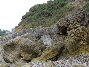 Carboniferous limestone rock formation at Langland Bay