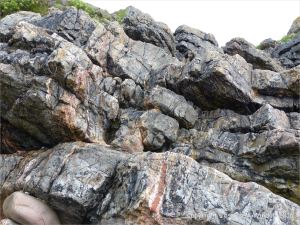 Carboniferous limestone rock formation at Langland Bay