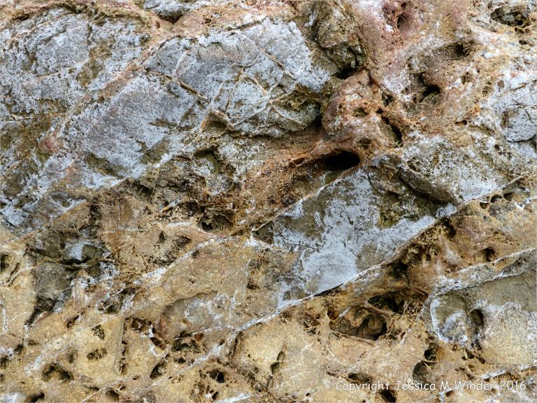 Texture and natural pattern in sedimentary rock