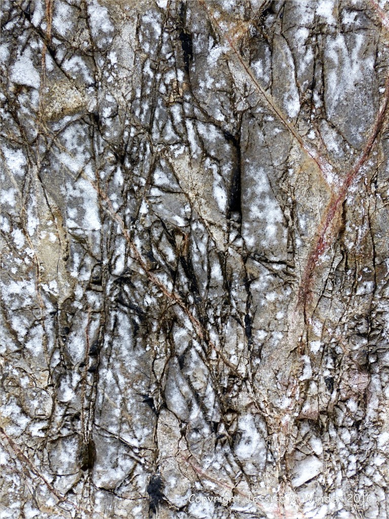 Texture and natural pattern in sedimentary rock