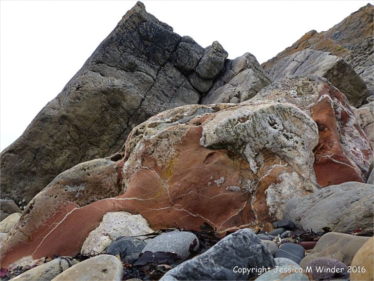 Carboniferous limestone rock formation at Langland Bay