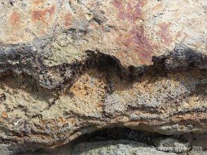 Ancient peat bed at Threecliff Bay in Gower, South Wales