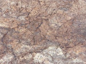 Ancient peat bed at Threecliff Bay in Gower, South Wales