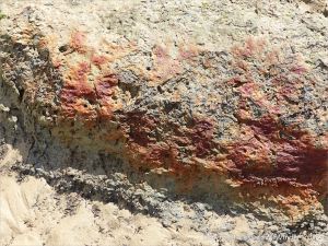 Ancient peat bed at Threecliff Bay in Gower, South Wales