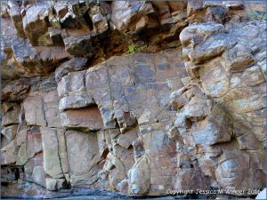 Textures and patterns in rock strata at Saundersfoot