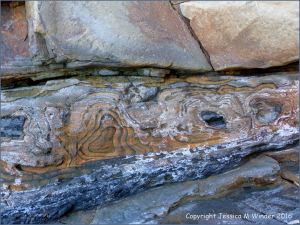 Textures and patterns in rock strata at Saundersfoot