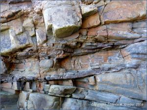 Textures and patterns in rock strata at Saundersfoot