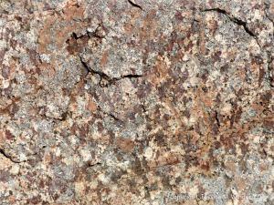 Close-up detail of L'Eree Granite crystals in rock on the Channel Island of Guernsey