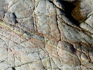 Close-up of L'Eree Granite on the Channel Island of Guernsey