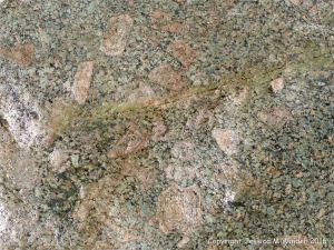 Close-up detail of L'Eree Granite crystals in rock on the Channel Island of Guernsey