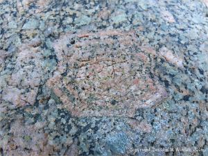 Close-up detail of L'Eree Granite crystals in rock on the Channel Island of Guernsey