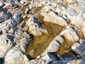 L'Eree Granite on the beach in Guernsey