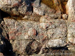 Close-up of L'Eree Granite