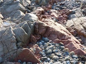 Broad pink aplitic vein in L'Eree Granite