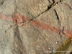 Narrow pink aplite vein in L'Eree Granite