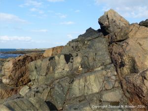 Weathered rock surface texture and pattern on an albite dolerite dyke on Guernsey
