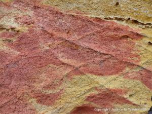 Soft red and yellow sandstone with holes made by bees