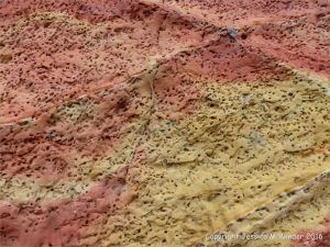 Soft red and yellow sandstone with holes made by bees