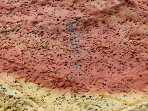 Soft red and yellow sandstone with holes made by bees