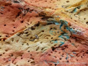 Soft red and yellow sandstone with holes made by bees