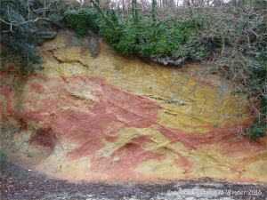 Soft red and yellow sandstone with holes made by bees