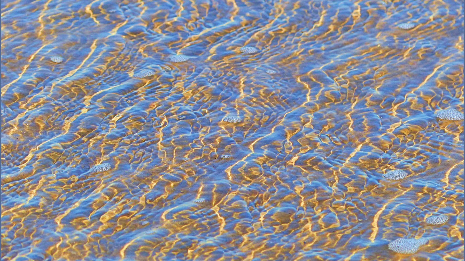 Natural patterns of sunlit ripples in shallow water