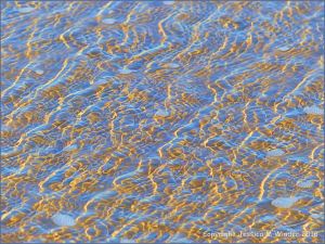 Natural patterns of sunlit ripples in shallow water