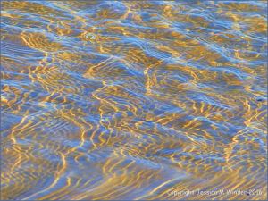 Natural patterns of sunlit ripples in shallow water
