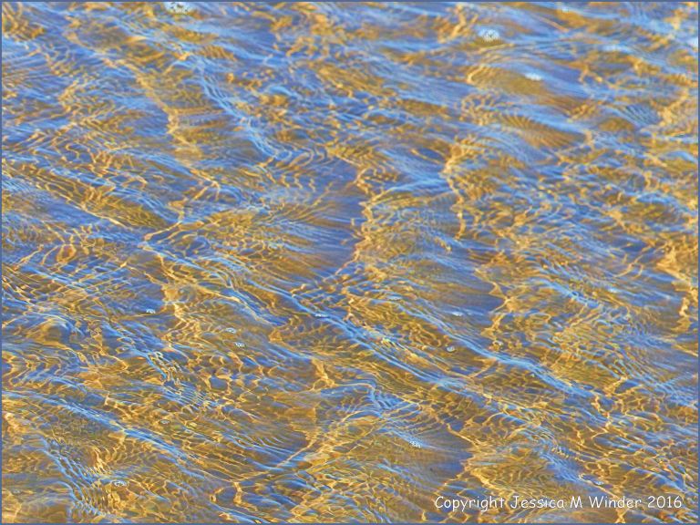 Natural patterns of sunlit ripples in shallow water