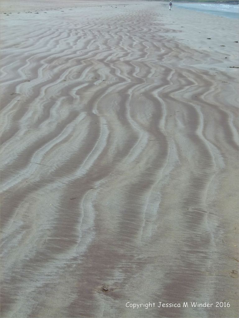 Coloured ripple patterns in the sand at Fermoyle
