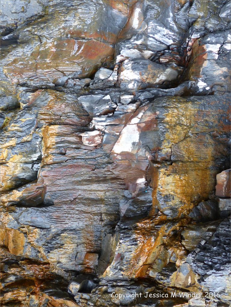 Natural pattern and texture in sedimentary rocks