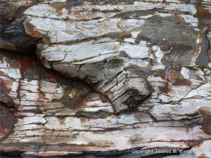Natural pattern and texture in sedimentary rocks