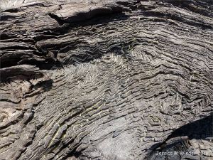 Close-up of the intricate pattern of woodgrain in ancient wood preserved by peat.