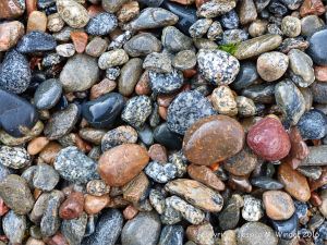 Wet pebbles on the beach at Havelet in Guernsey