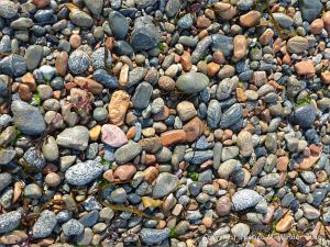 Wet pebbles on the beach at Havelet in Guernsey
