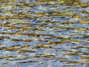 Pebbles under running water with reflected light