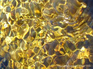 Pebble on a stream bed shimmering gold with patterns of reflected light