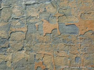 Natural pattern and texture in sedimentary rocks